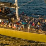 Freebird One | Avistamiento de Ballenas en Tenerife | Whale watching Tenerife - Tours en Adeje
