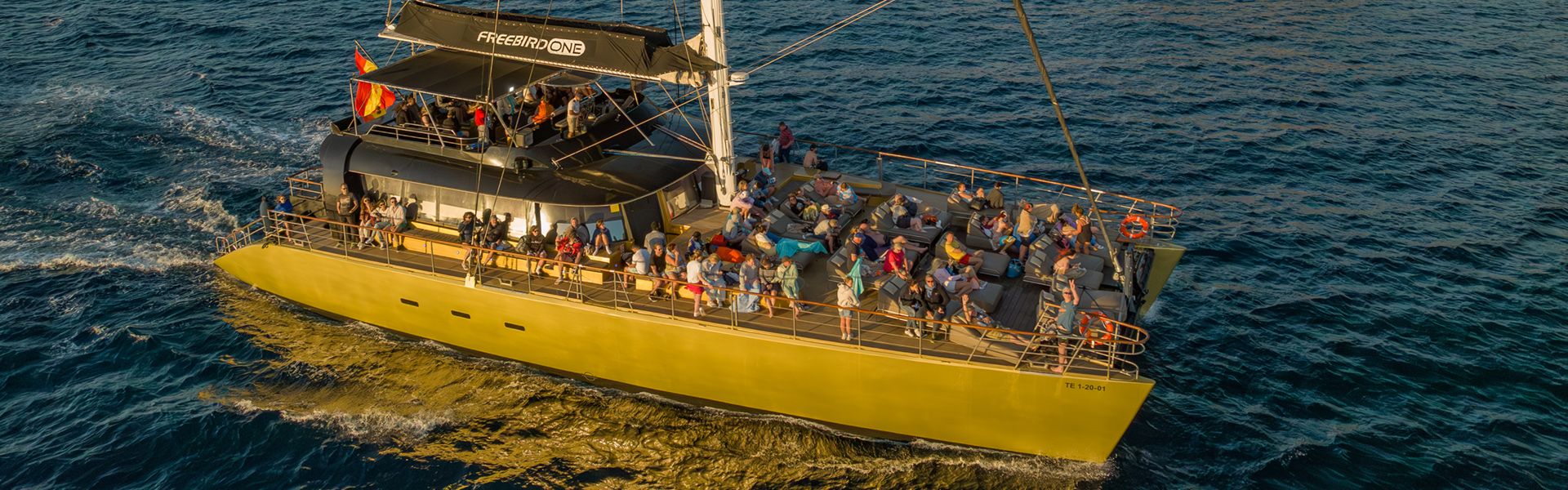 Freebird One | Avistamiento De Ballenas En Tenerife | Whale Watching Tenerife