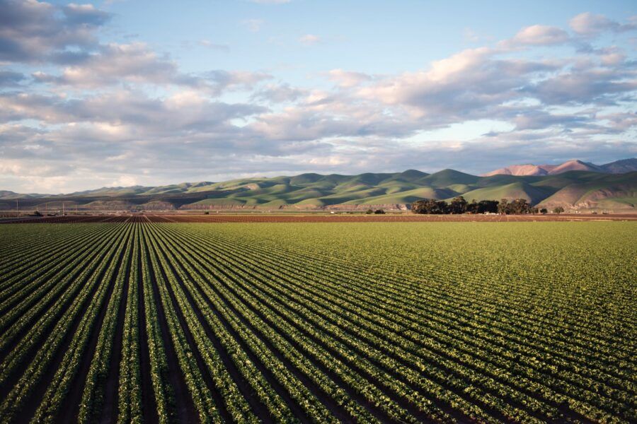 Agrinova Soluciones Agricolas S.l.u.