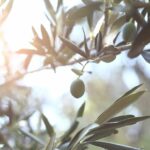 Calitecma - Fabricante de alimentos en Sevilla