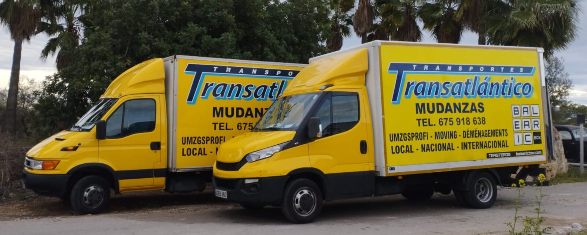 Foto de Transportes Transatlántico en Palma - Imagen 1