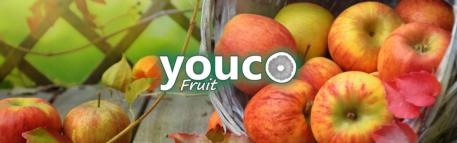 Youco Fruit