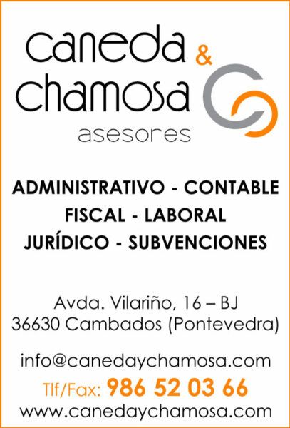 Caneda & Chamosa Asesores