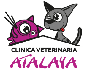 Atalayavet Sl – Clinica Veterinaria Valencia