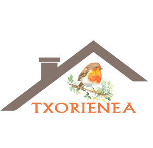 Txorienea, Vivienda Turística