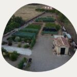 Raíces del Cerrato | Talleres y artesanía creativa. Huerta tradicional - Mercado tradicional en Baños de Cerrato