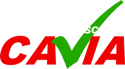 Cavia | Autoescuela En Zaragoza