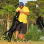 Dog & Life Dog Training Madrid