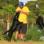 Dog & Life Dog Training Madrid - Adiestrador canino en Madrid
