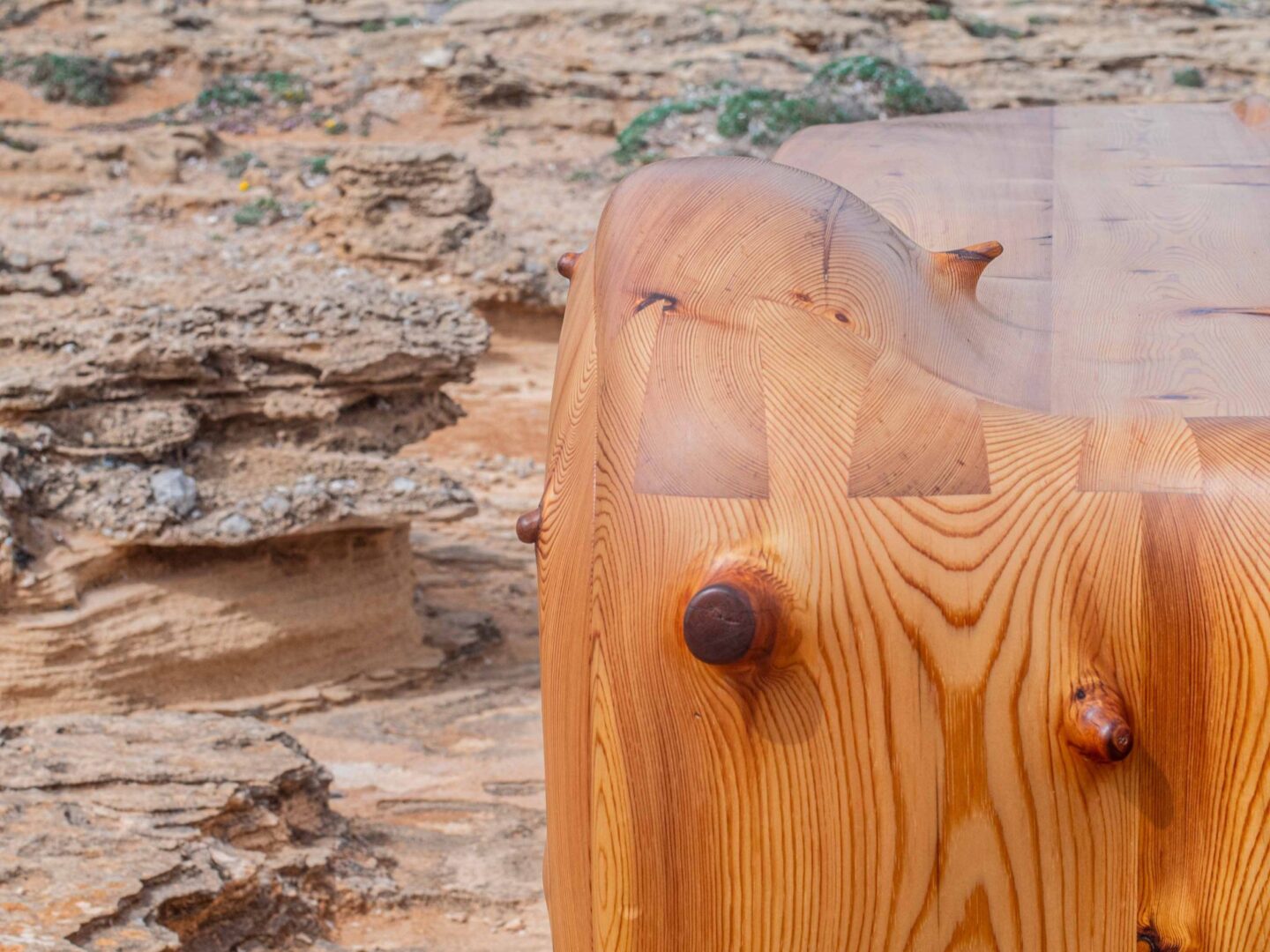 Foto de Jordi Ribas Ros en Colonia de Sant Pere - Imagen 1