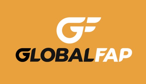 Global Fap