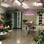 El Jardín de San Marcos - Floristeria en San Martín de la Vega