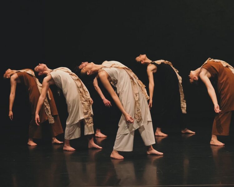 Institut De Dansa Educocreativa I Social