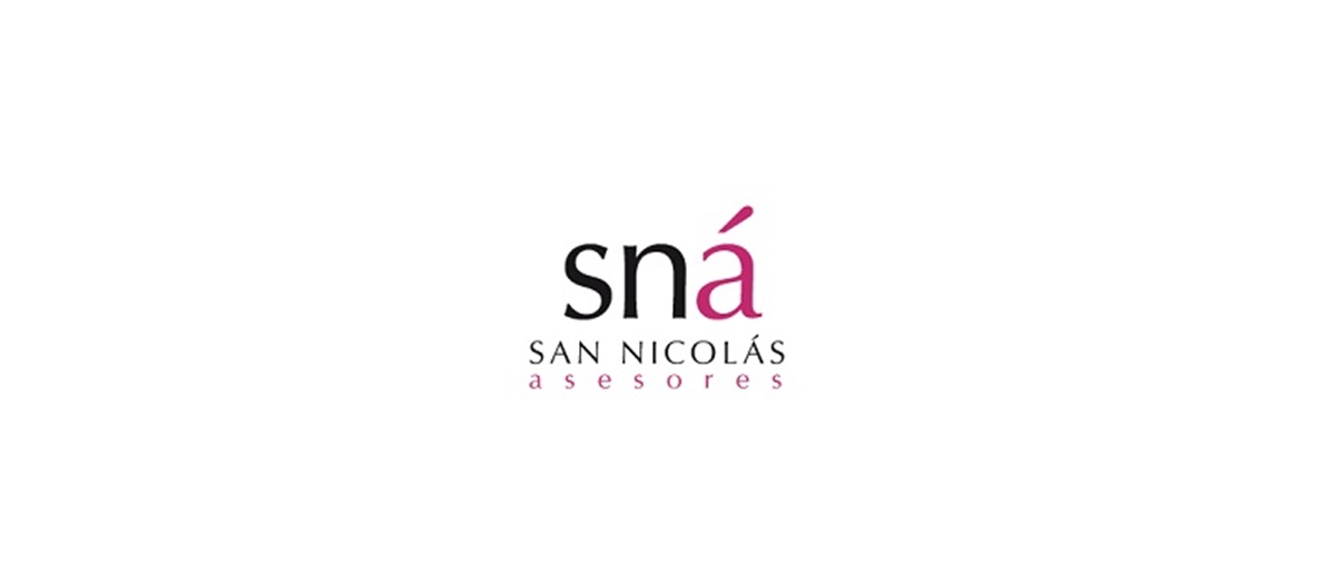 San NicolÁs Asesores S.l.p