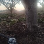 DEEPDROP | Sistema de Riego por Goteo - Tiendas de jardinería en Torrox