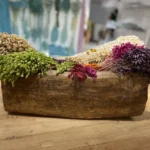 Niptas Distribuciones S.L. (FLORIBERIA) - Floristeria en Andújar