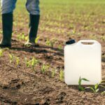 herbicide jug container in corn seedling field farmer walking in background scaled 1