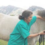 Quiropractica veterinaria