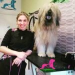 Rebeca Cuevas – Peluquería De Mascotas Y Consulta Veterinaria