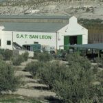 S.a.t. San León · Especialistas En Encurtidos
