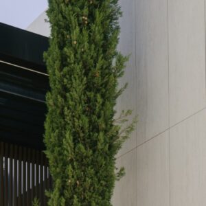 Foto de Adarve Gardens | Luxury garden design Marbella en Benahavís - Imagen 4